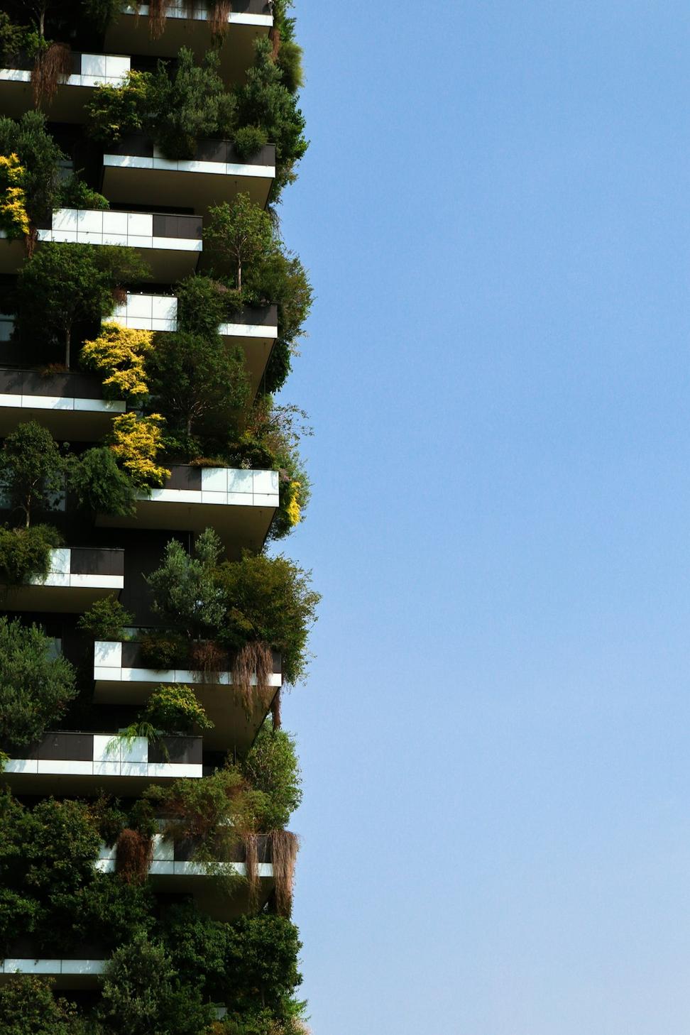Strathcona Townhouse Development