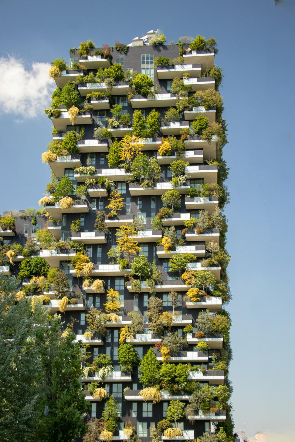 Sustainable Design Consulting